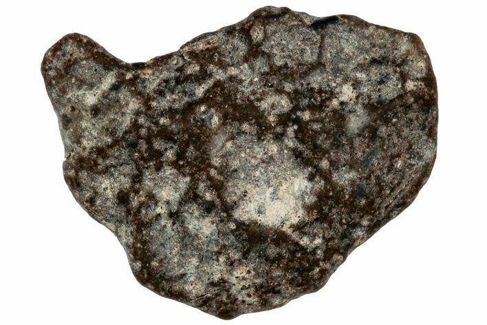 Lunar Meteorite ( g) - NWA #304856